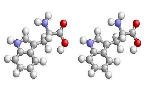 研究人員發(fā)現(xiàn)蛋白質之間智能互動