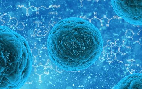 視力障礙者的干細(xì)胞療法獲得了成功