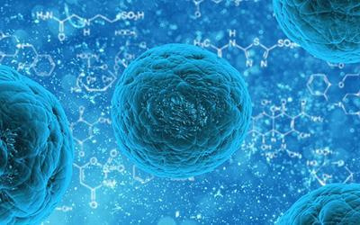 免疫模擬生物材料的快速T細胞療法