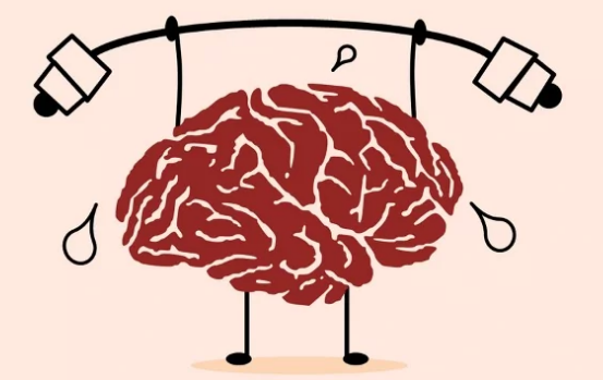 另一項(xiàng)研究表明鍛煉可以為大腦老化帶來(lái)巨大益處
